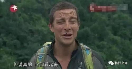 贝爷生吃皮蛋表情包